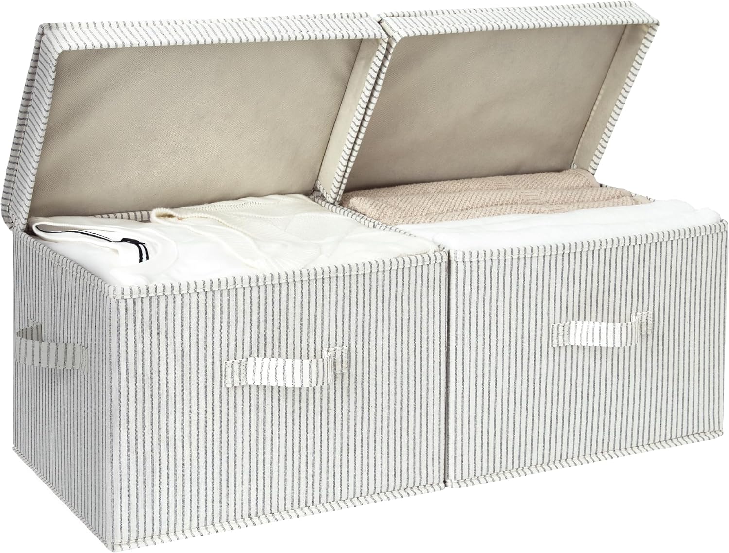 Fabric Storage Bins with Lid, 2-Pack