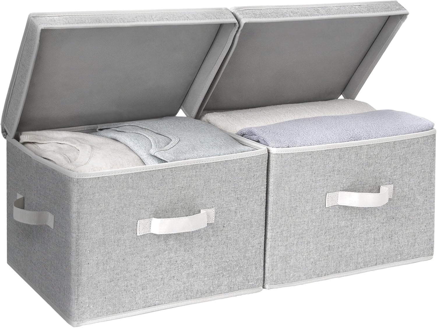 Fabric Storage Bins with Lid, 2-Pack