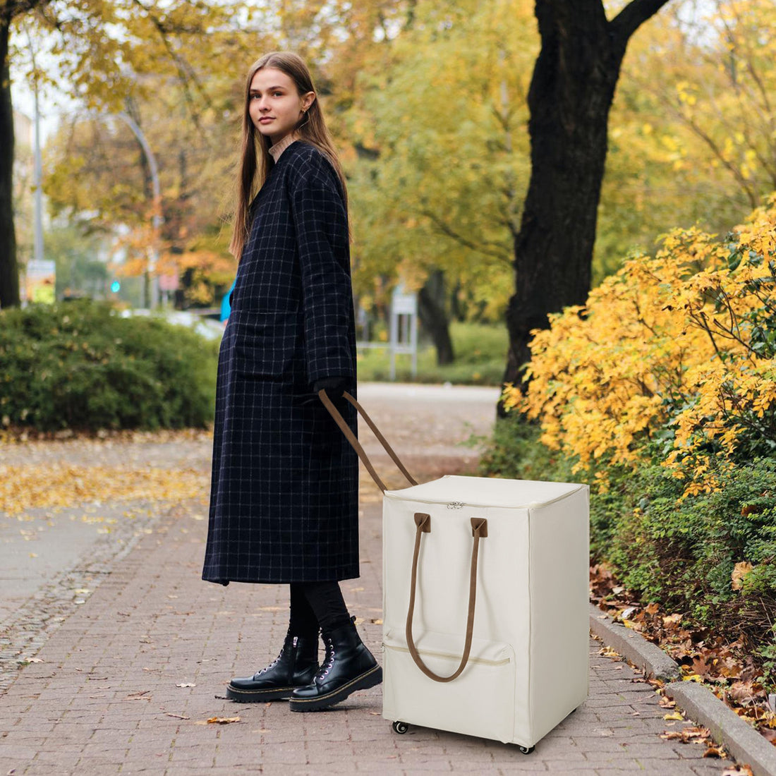 Grocery Cart on Wheels